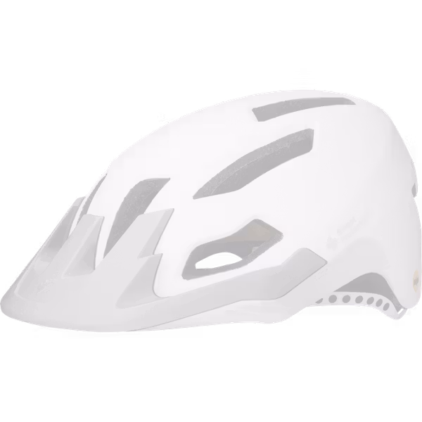 Dissenter Visor