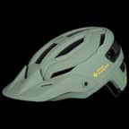 Willow Green Willow Green