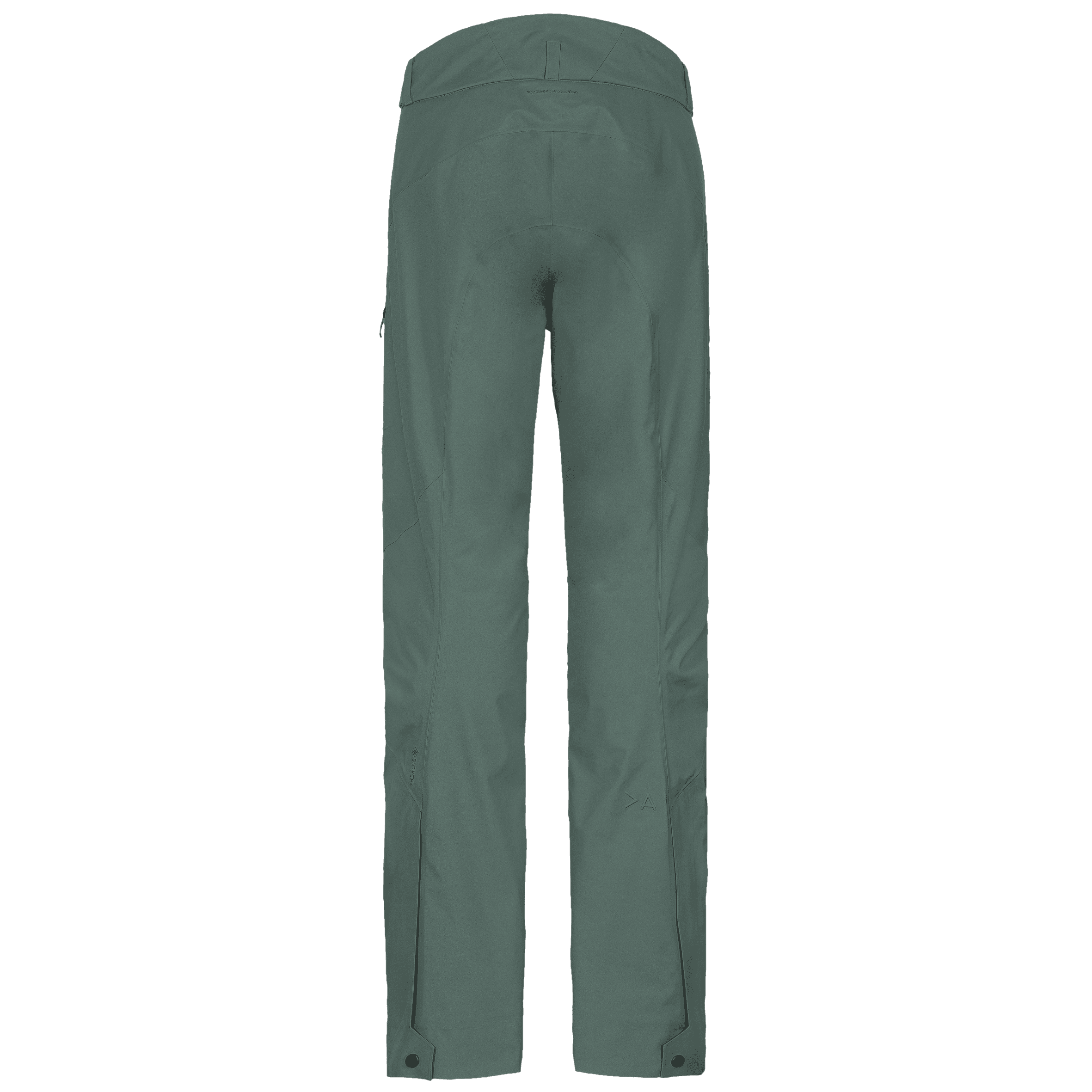 Apex GORE-TEX Pants Men's - Pine