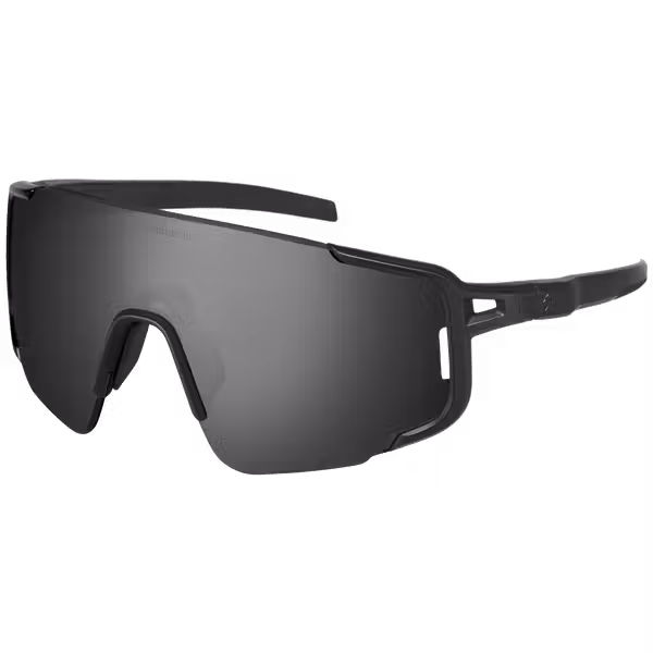 Ronin Polarized