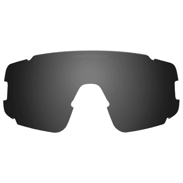 Ronin Polarized Replacement Lens