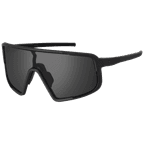 Obsidian Black Polarized/Matte Black