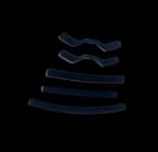 True Black True Black