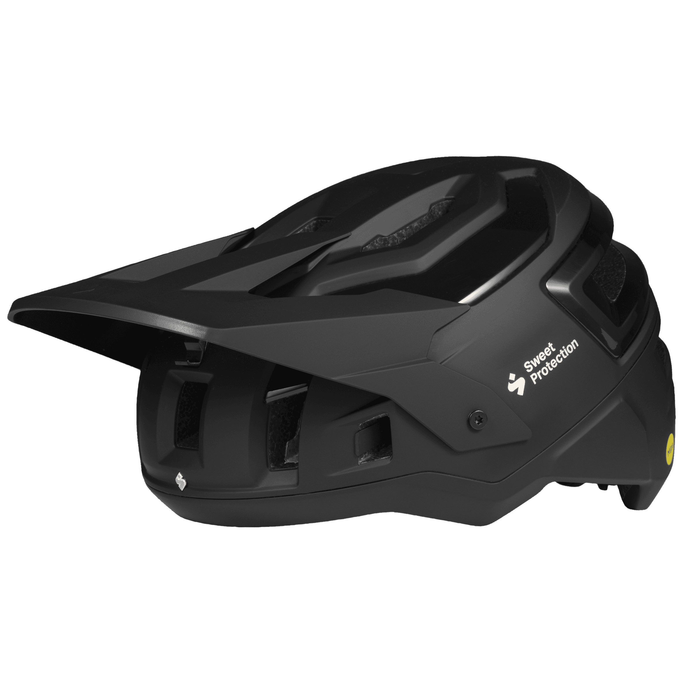 Bushwhacker 2Vi® Mips Helmet - Matte Black