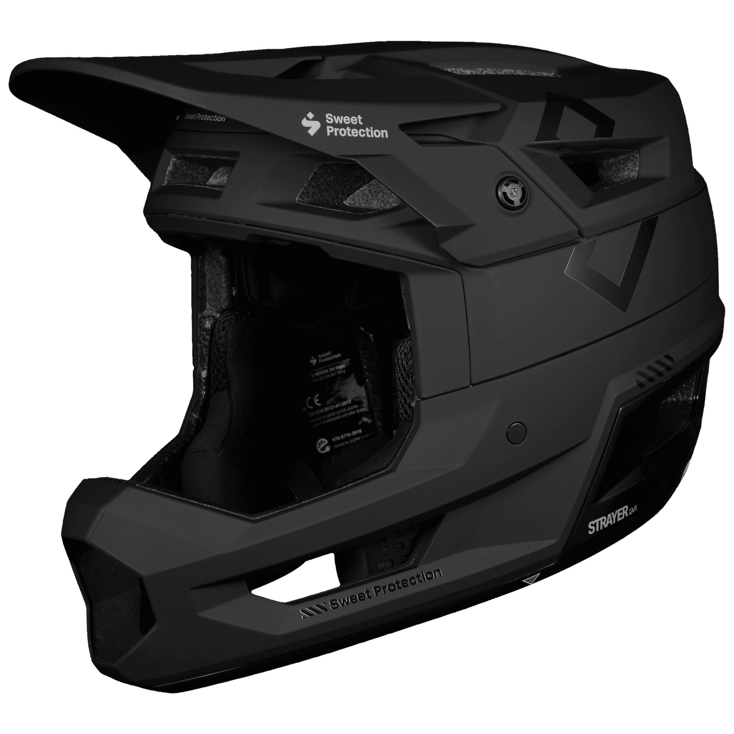 Strayer 2Vi® Mips Helmet - Matte Black