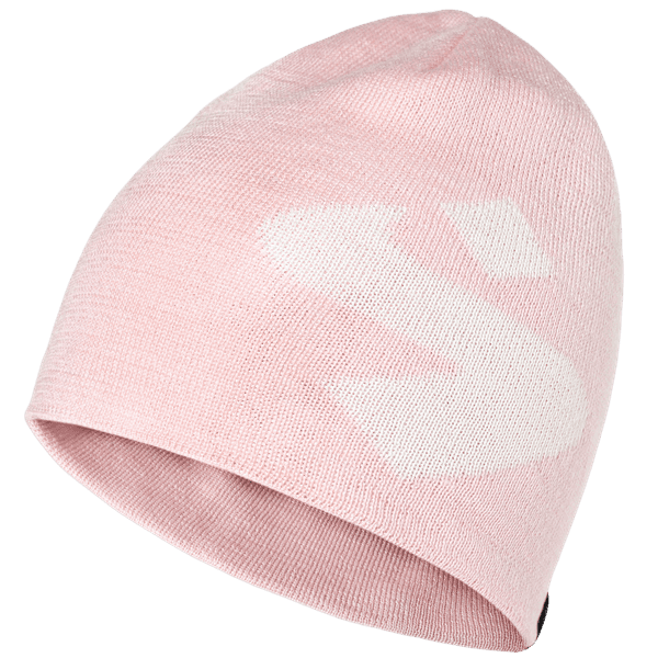 Icon Beanie